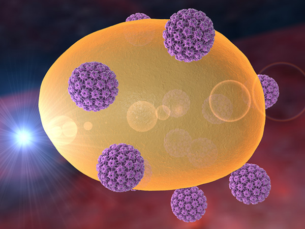  HPV Typ 16 (PDB 3J6R) attakiert eine Zelle